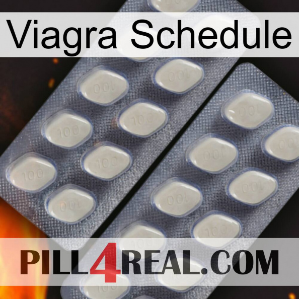 Viagra Schedule 07.jpg